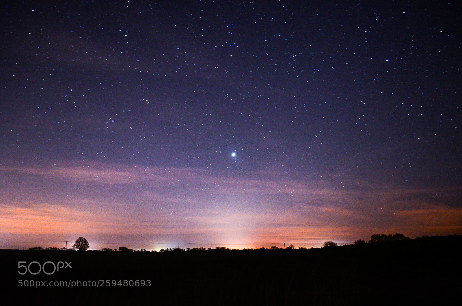Nikon D5100 sample photo. Brightest star. photography