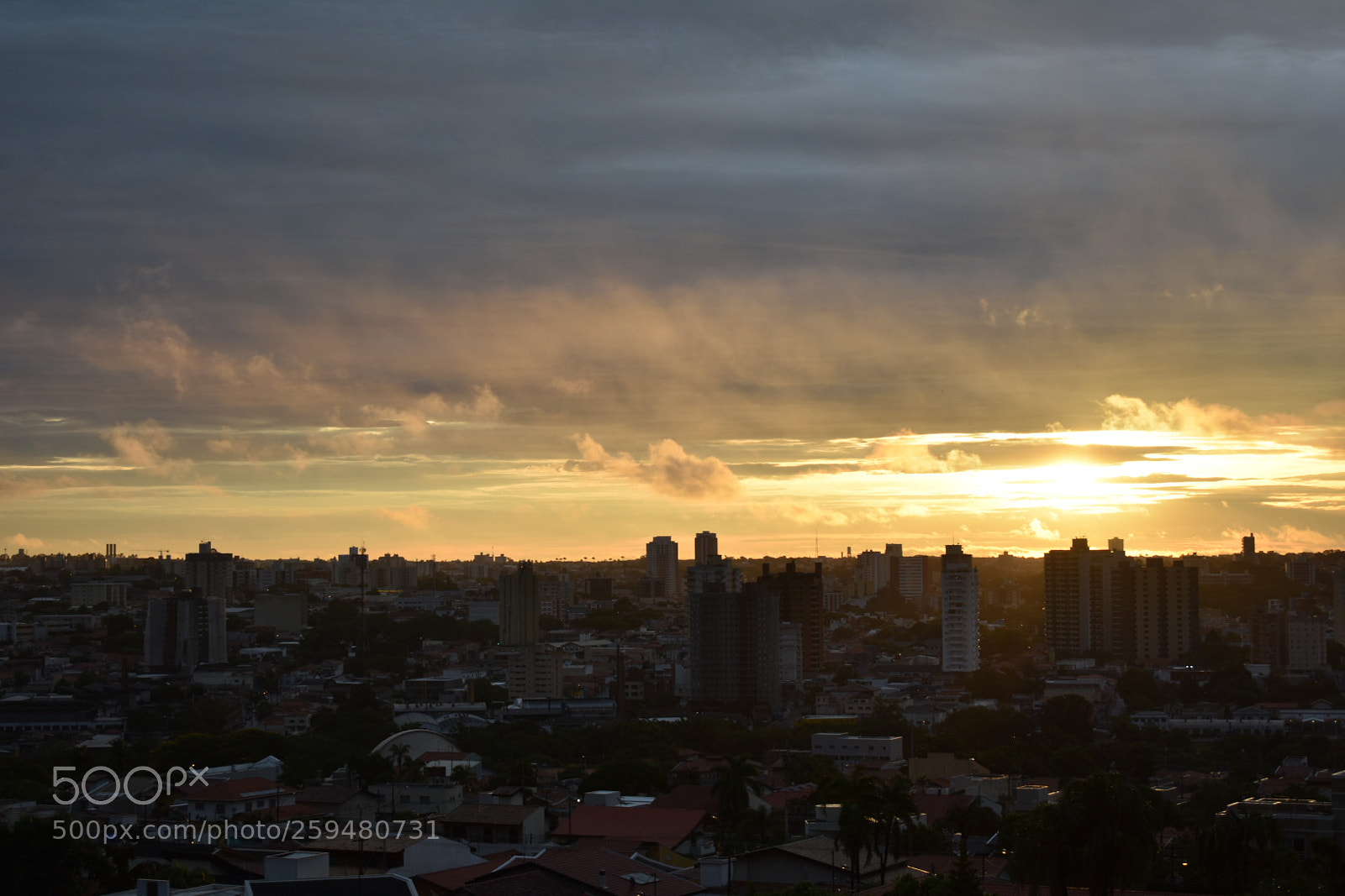 Nikon D3400 sample photo. Temporary photography