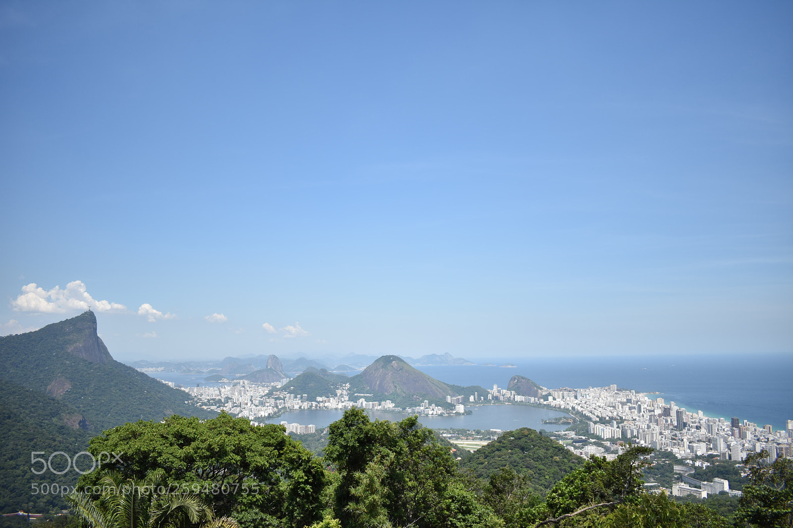 Nikon D3400 sample photo. Dsc photography