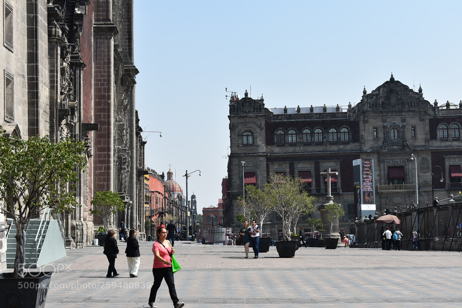 Nikon D3400 sample photo. Temporary photography