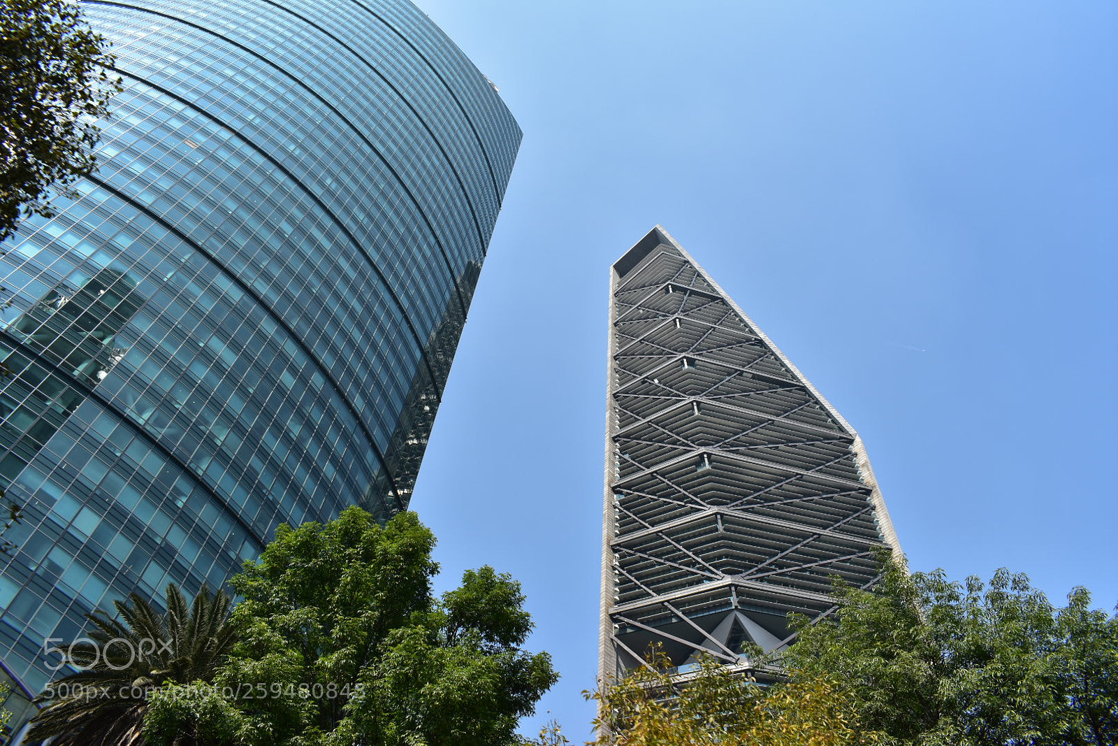 Nikon D3400 sample photo. Temporary photography
