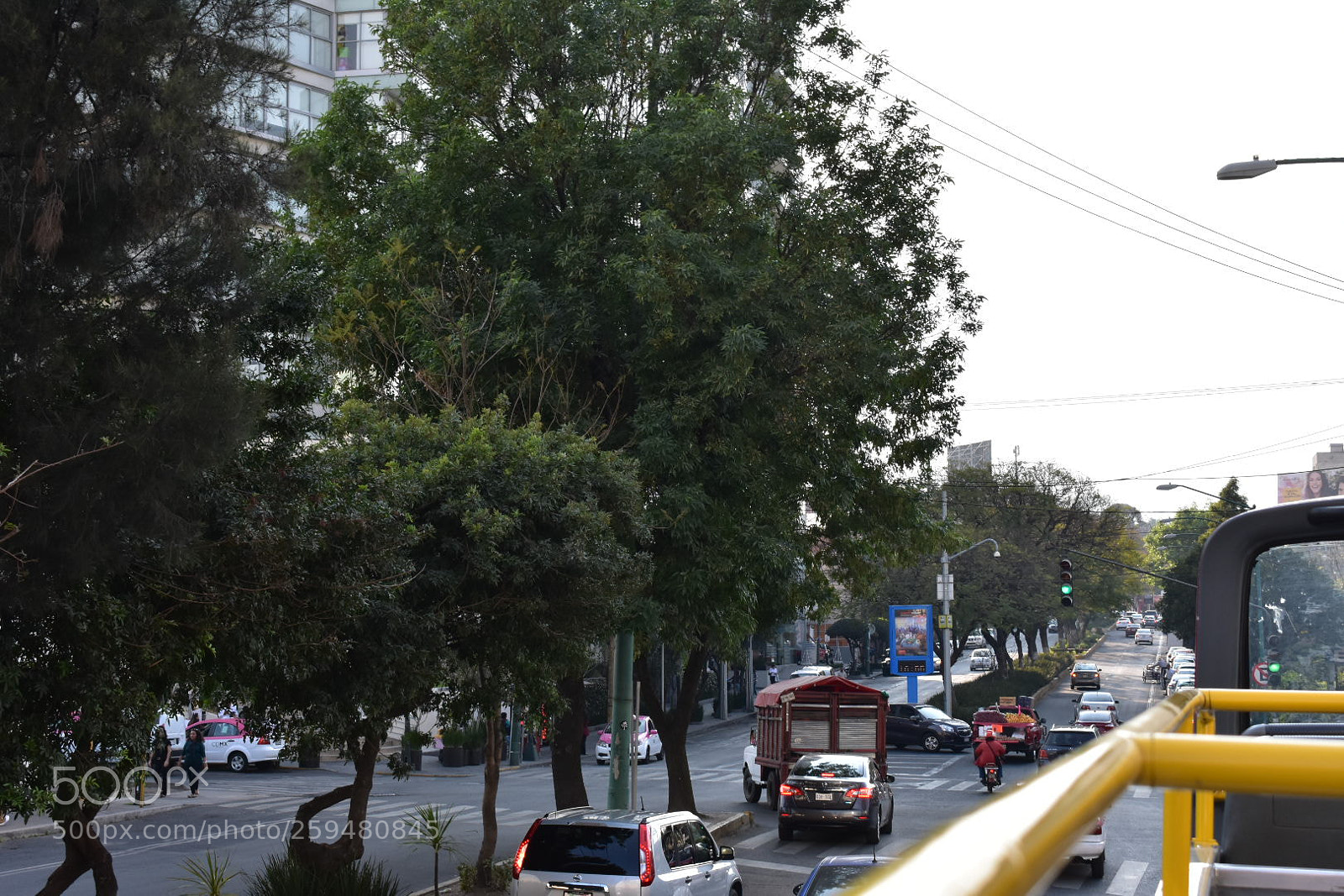 Nikon D3400 sample photo. Temporary photography