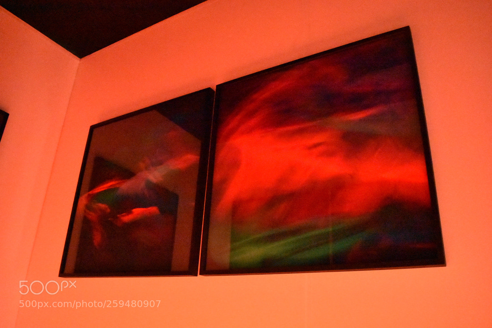 Nikon D3400 sample photo. Temporary photography