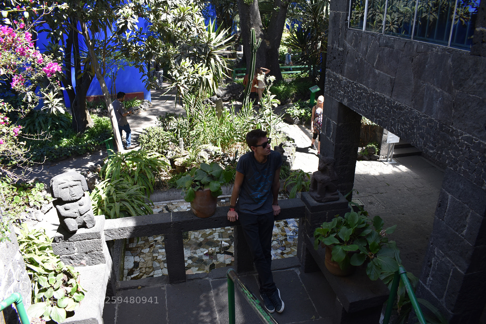 Nikon D3400 sample photo. Temporary photography