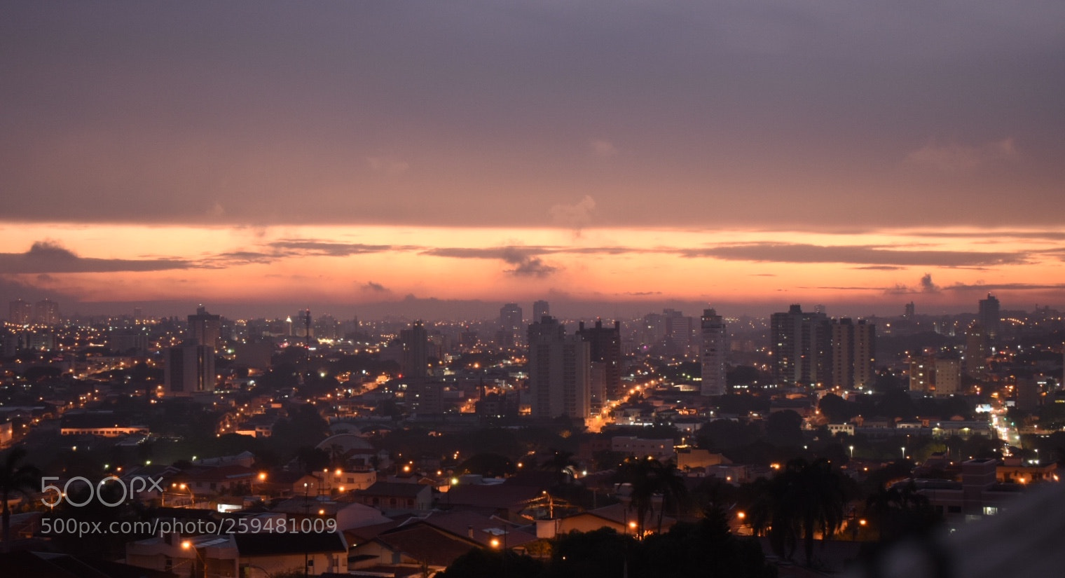Nikon D3400 sample photo. Fullsizeoutput photography