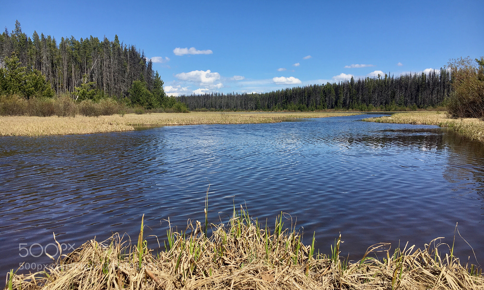 Apple iPhone 6s sample photo. Beautiful british columbia  photography