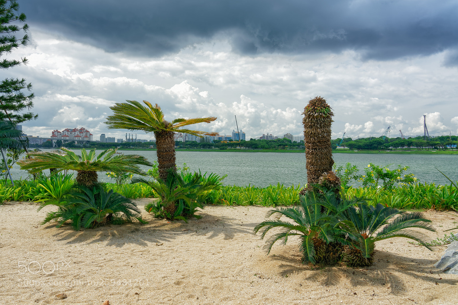 Sony a7R II sample photo. Gardens by the bay photography