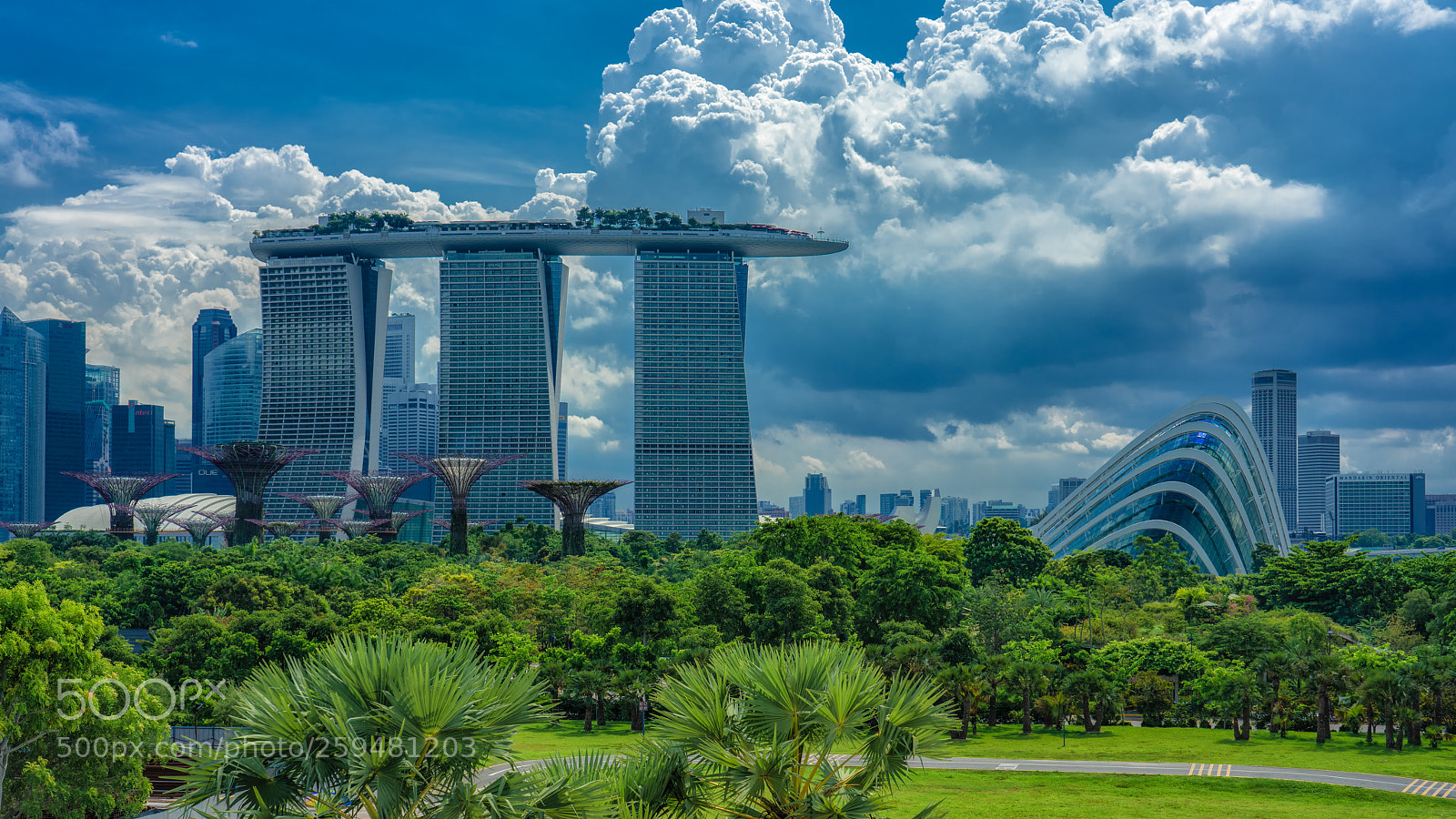 Sony a7R II sample photo. Gardens by the bay photography