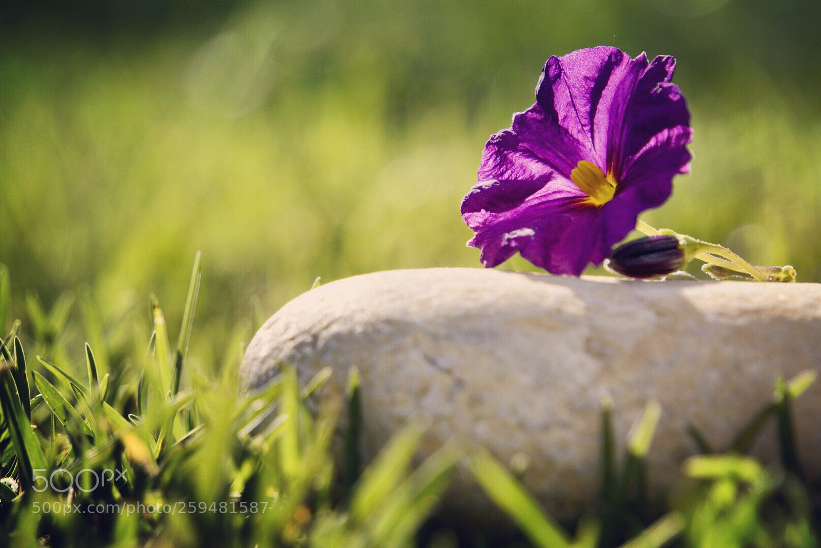 Sony a6000 sample photo. Climb a rock photography