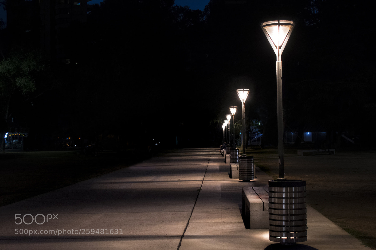 Nikon D3400 sample photo. Path home photography