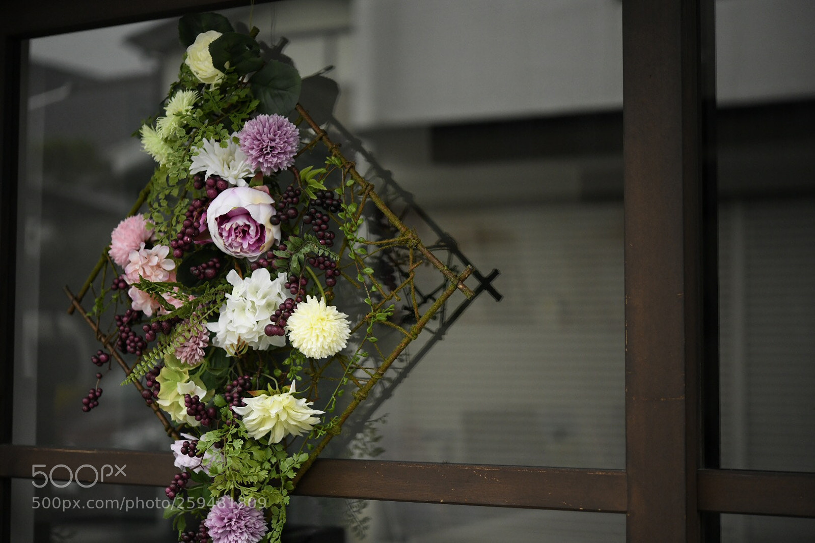 Nikon D850 sample photo. Untitled photography