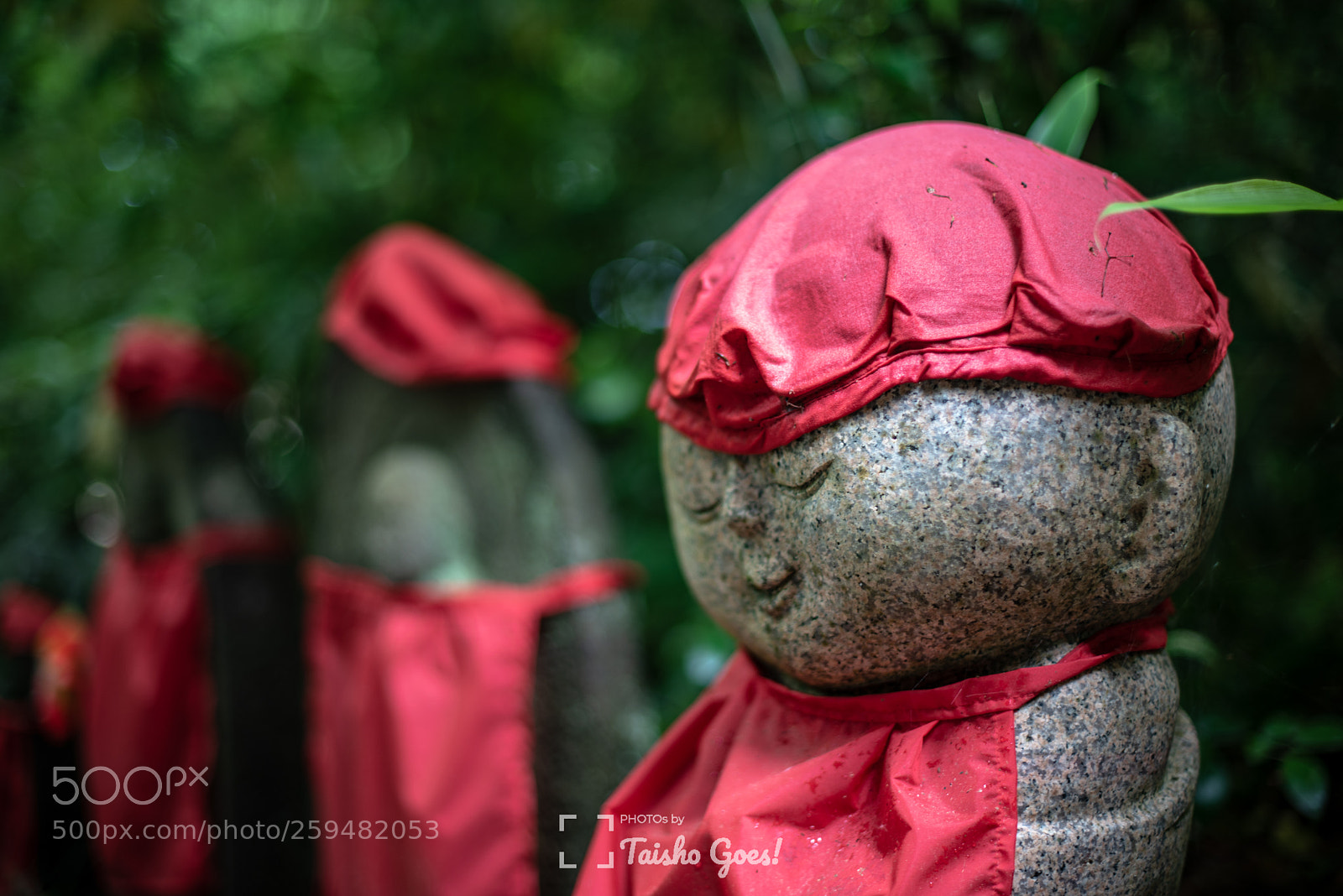Nikon D750 sample photo. Zuihou-den 001 photography