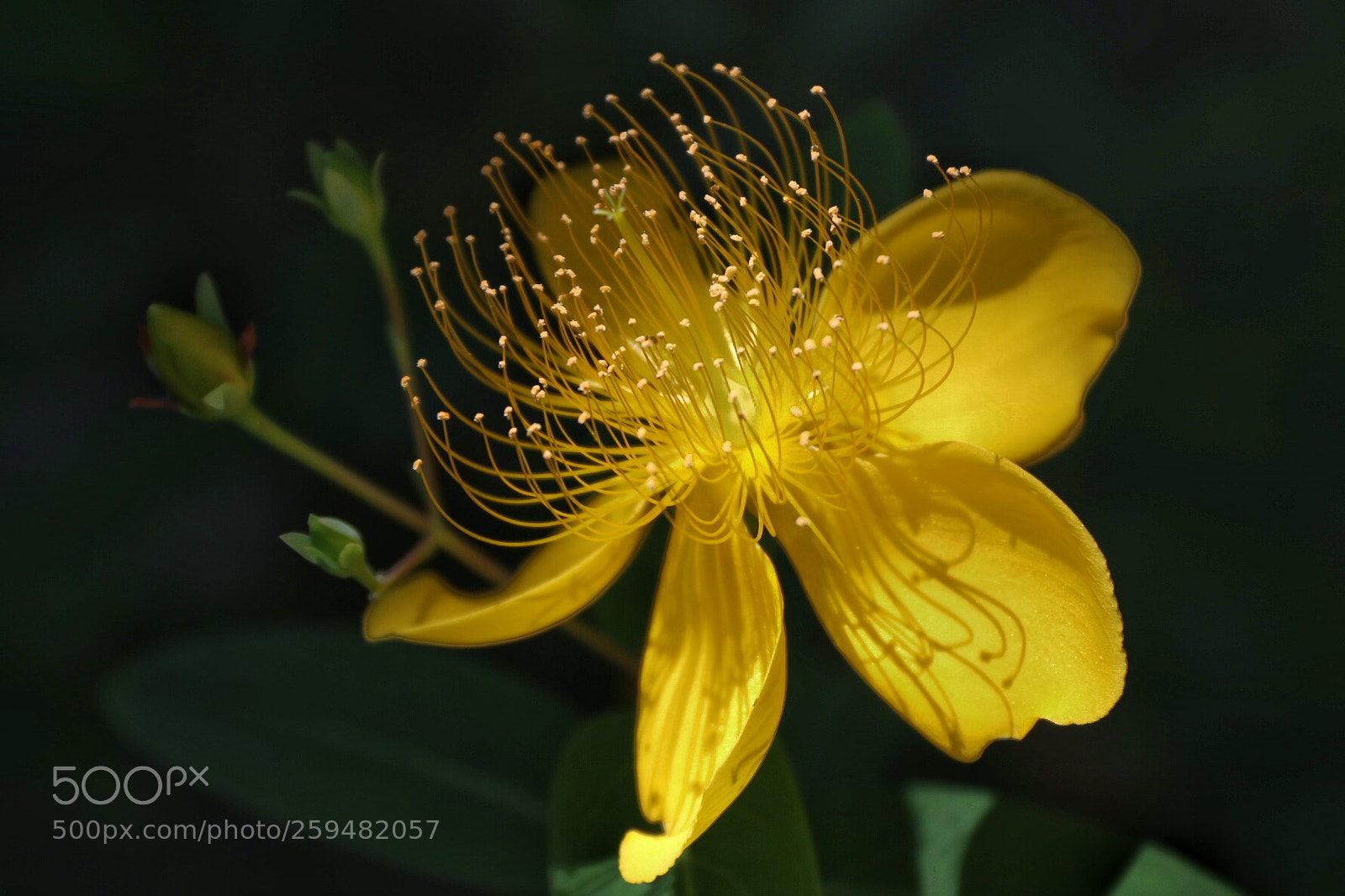 Canon EOS 80D sample photo. Untitled photography