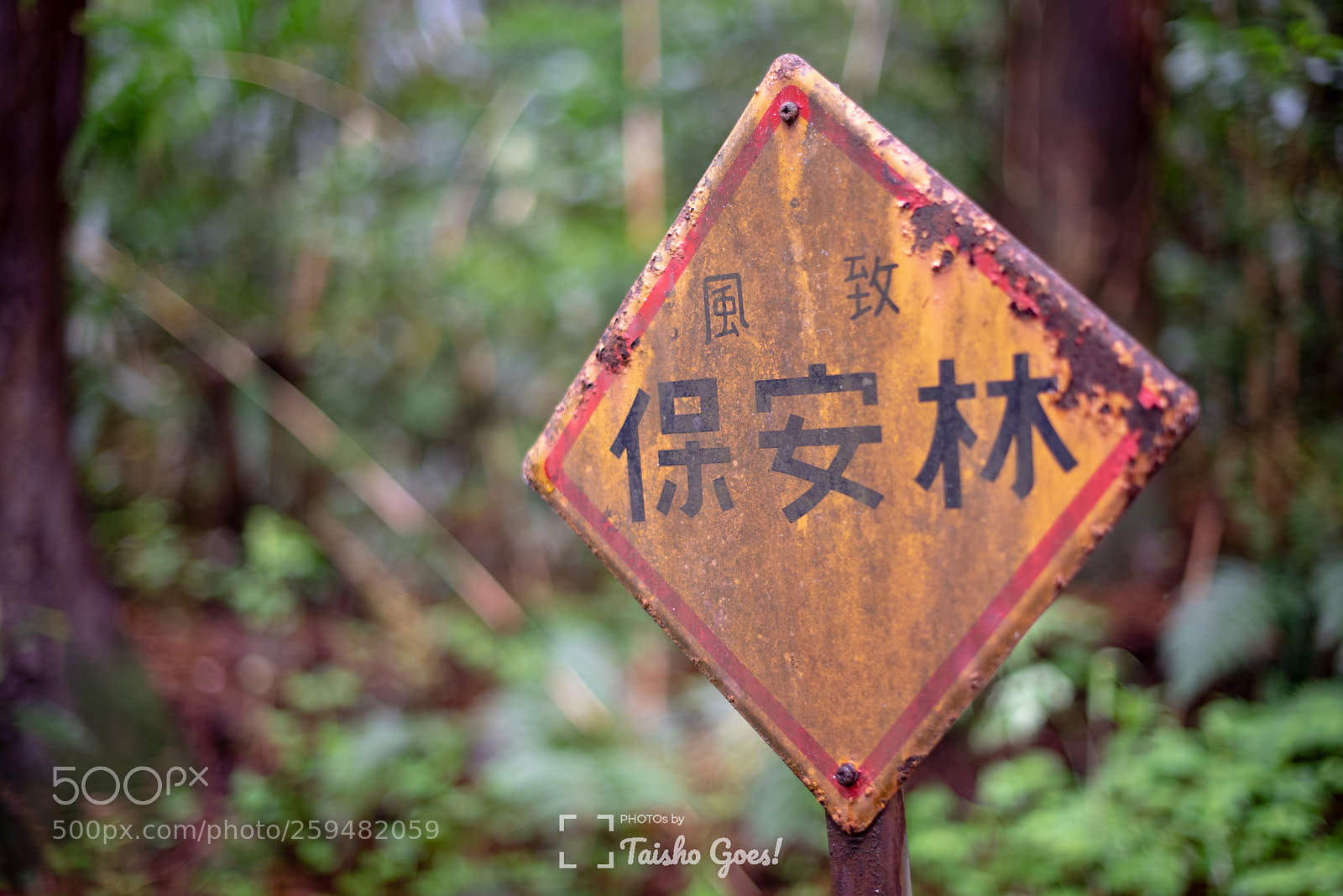 Nikon D750 sample photo. Zuihou-den 003 photography