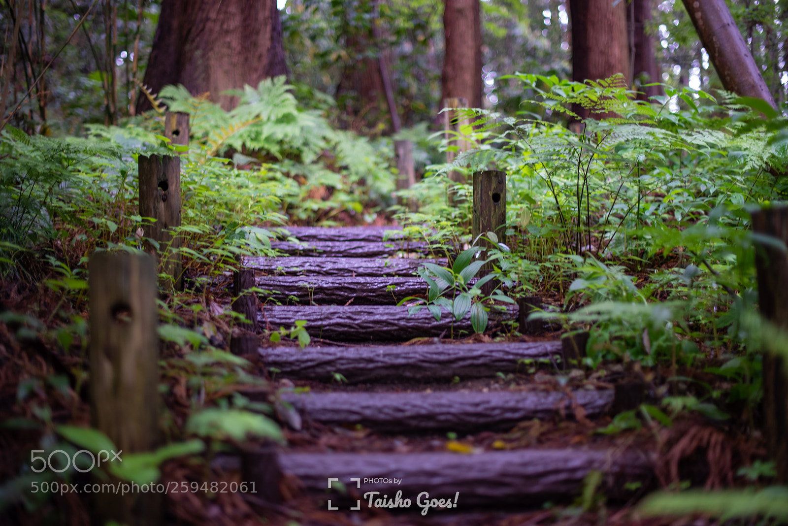 Nikon D750 sample photo. Zuihou-den 004 photography