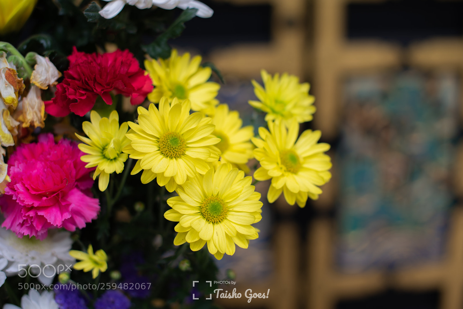 Nikon D750 sample photo. Zuihou-den 007 photography