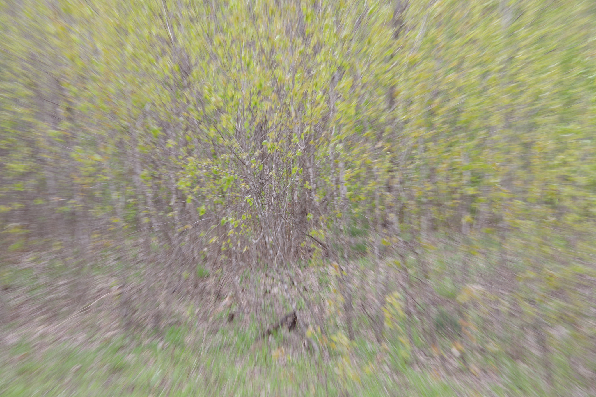Pentax K-70 sample photo. Wooosh photography