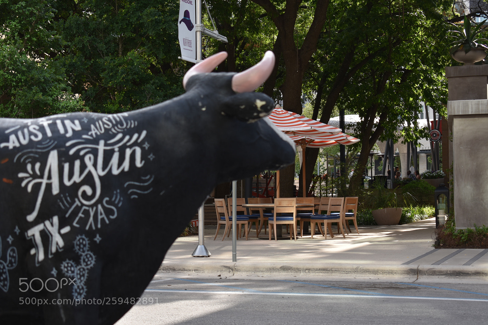Nikon D3400 sample photo. The official fake cow photography