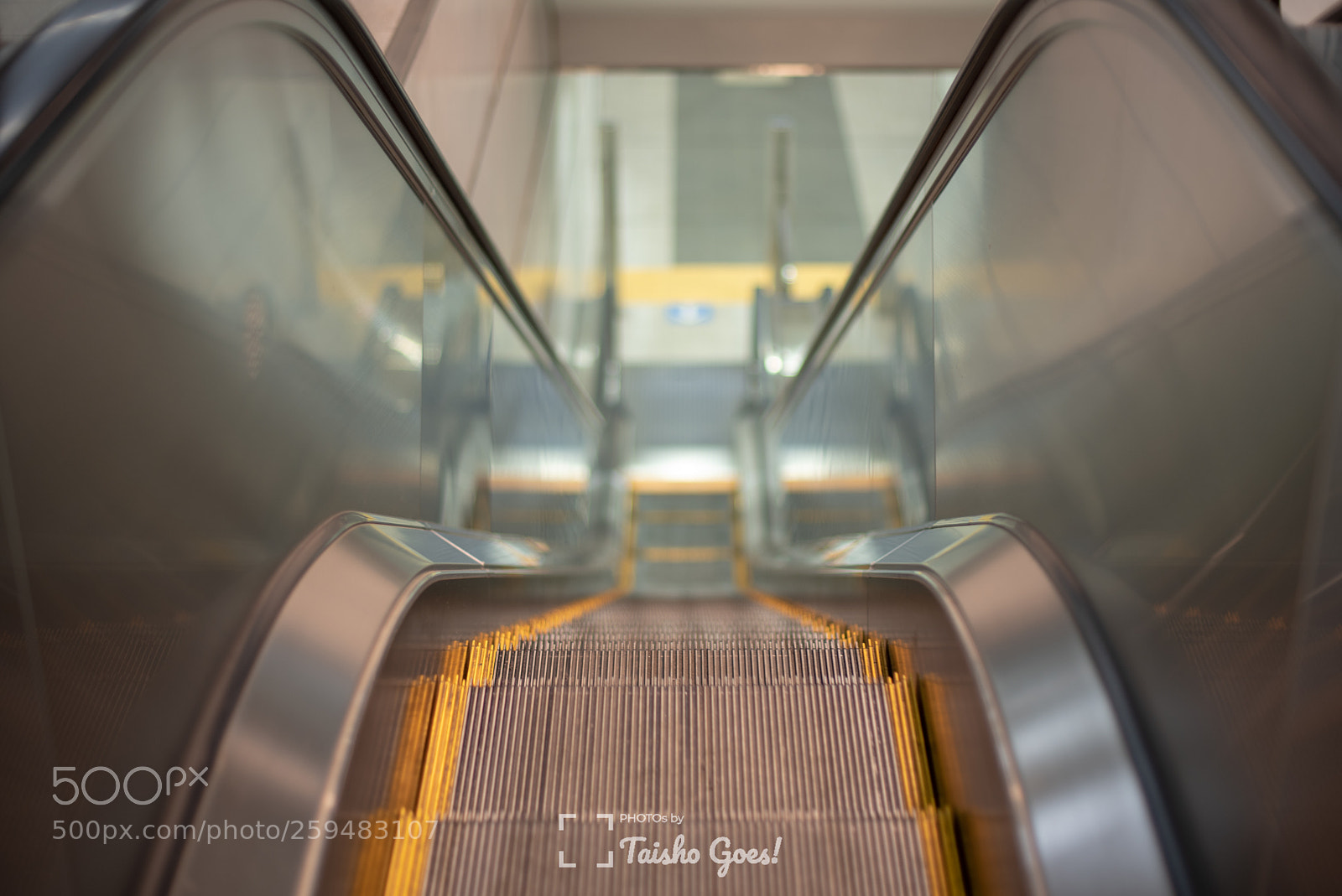 Nikon D750 sample photo. Escalator photography