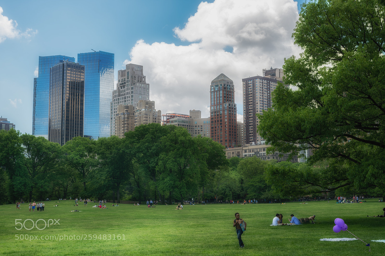 Nikon D850 sample photo. Central park photography