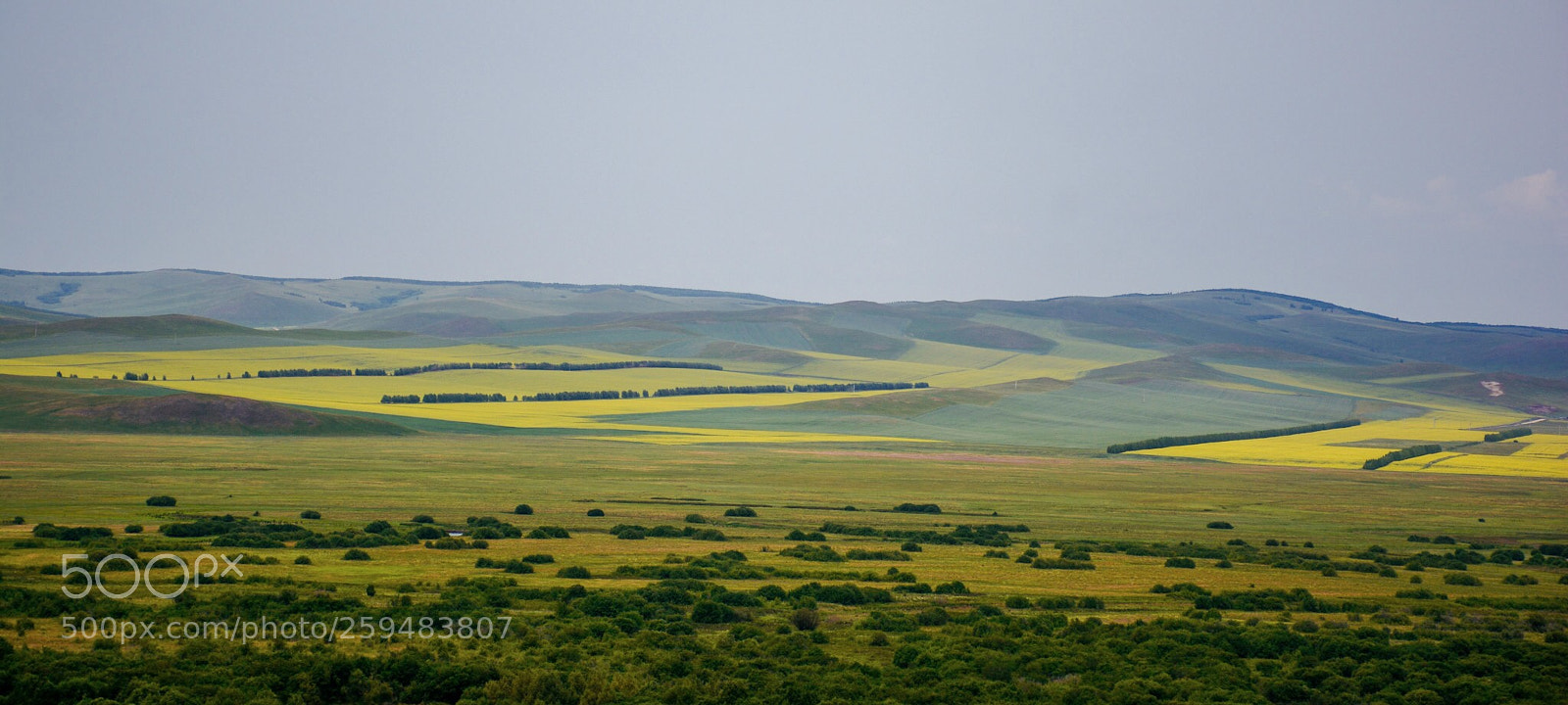 Nikon D7100 sample photo. Untitled photography