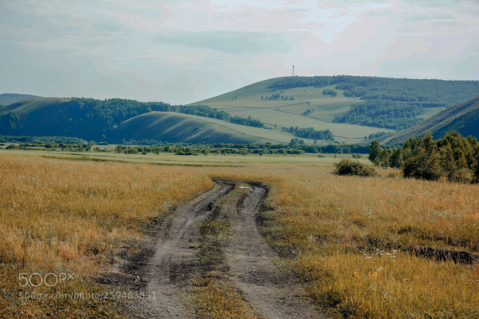 Nikon D7100 sample photo. Untitled photography