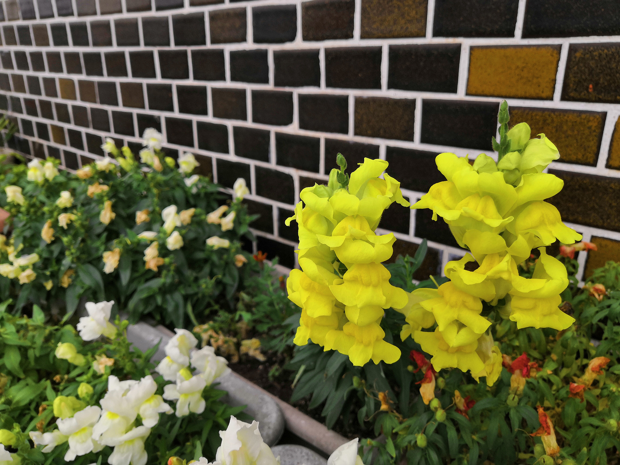 HUAWEI Honor 10 sample photo