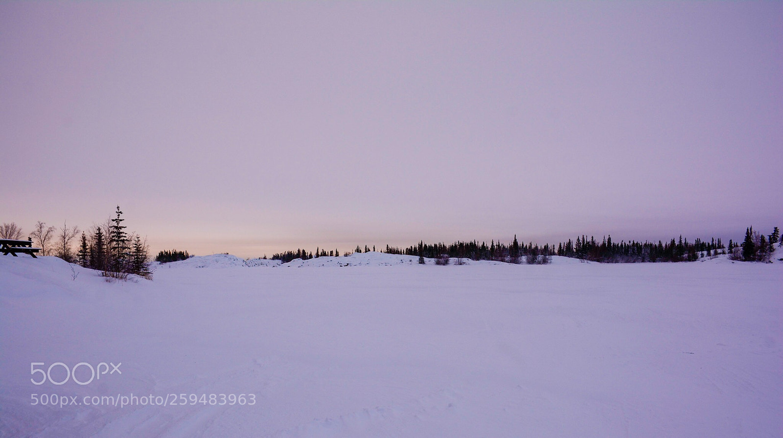 Nikon D7100 sample photo. Untitled photography