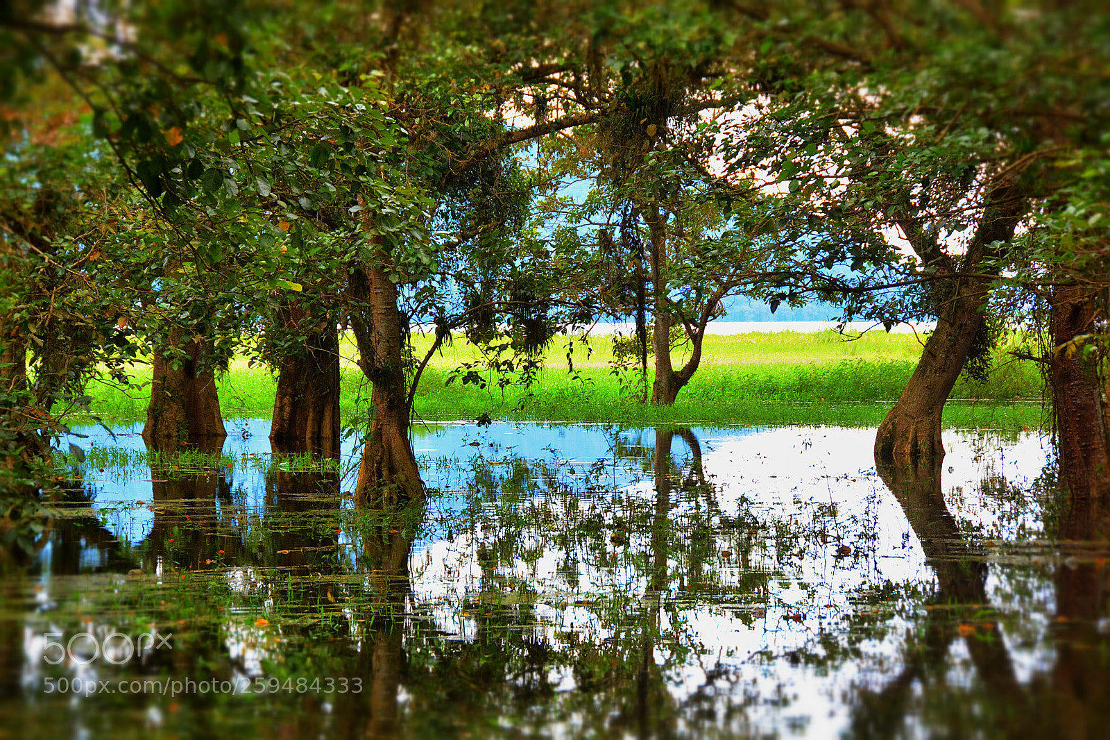 Nikon D7100 sample photo. Lake of yojoa photography