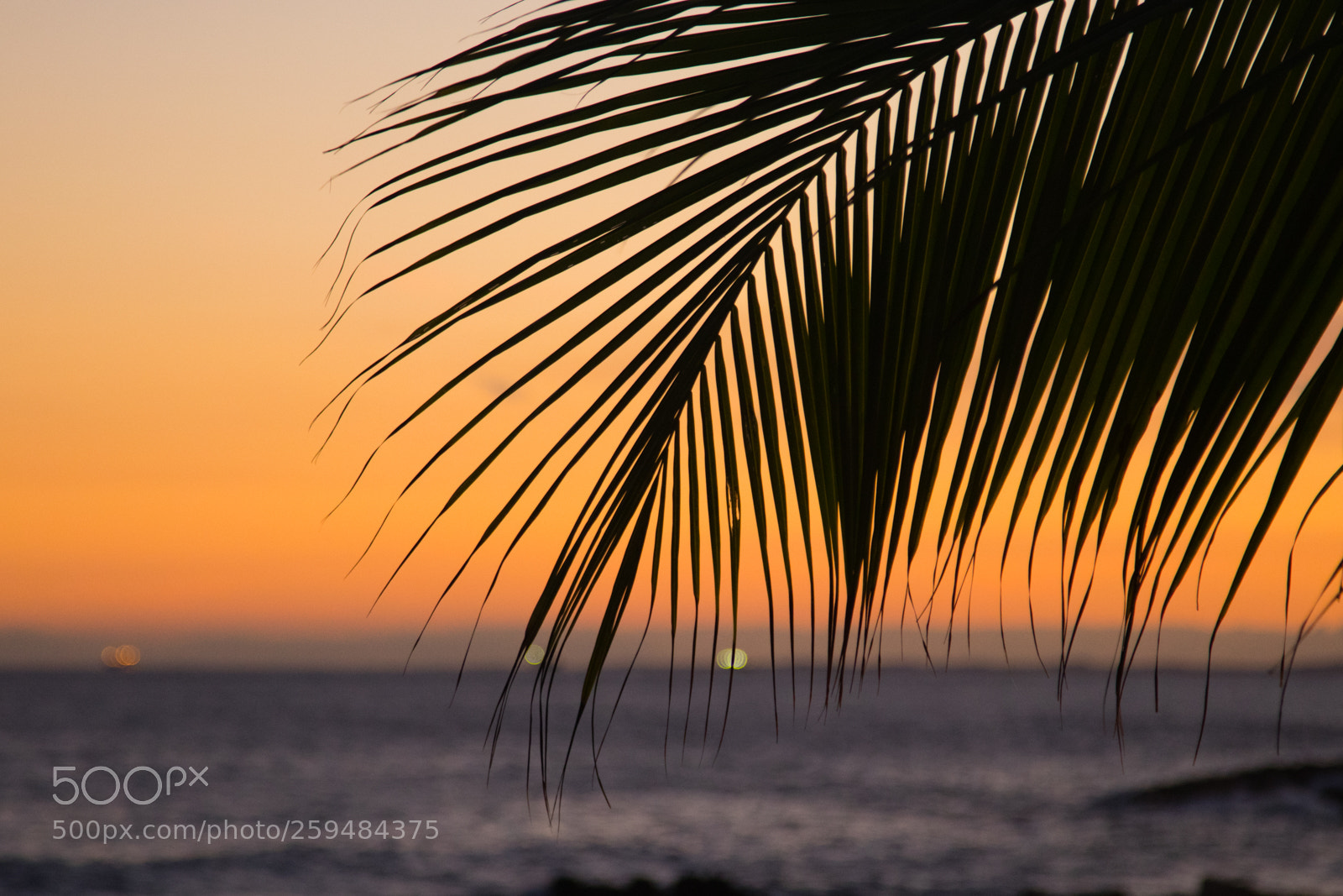 Canon EOS 80D sample photo. Horizonte photography