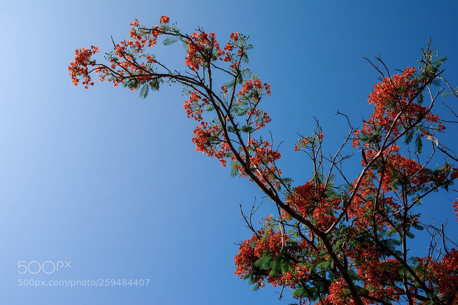 Nikon D7100 sample photo. Untitled photography