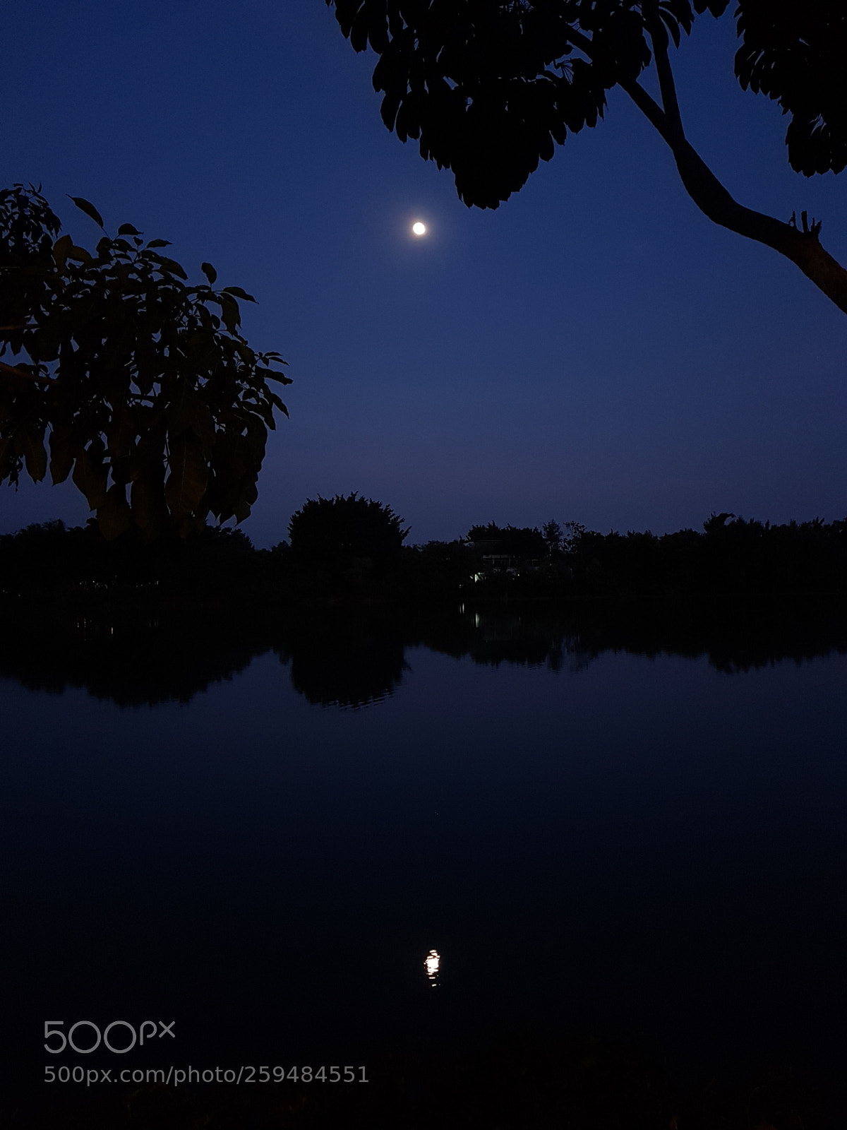 Samsung Galaxy S8+ sample photo. Untitled photography