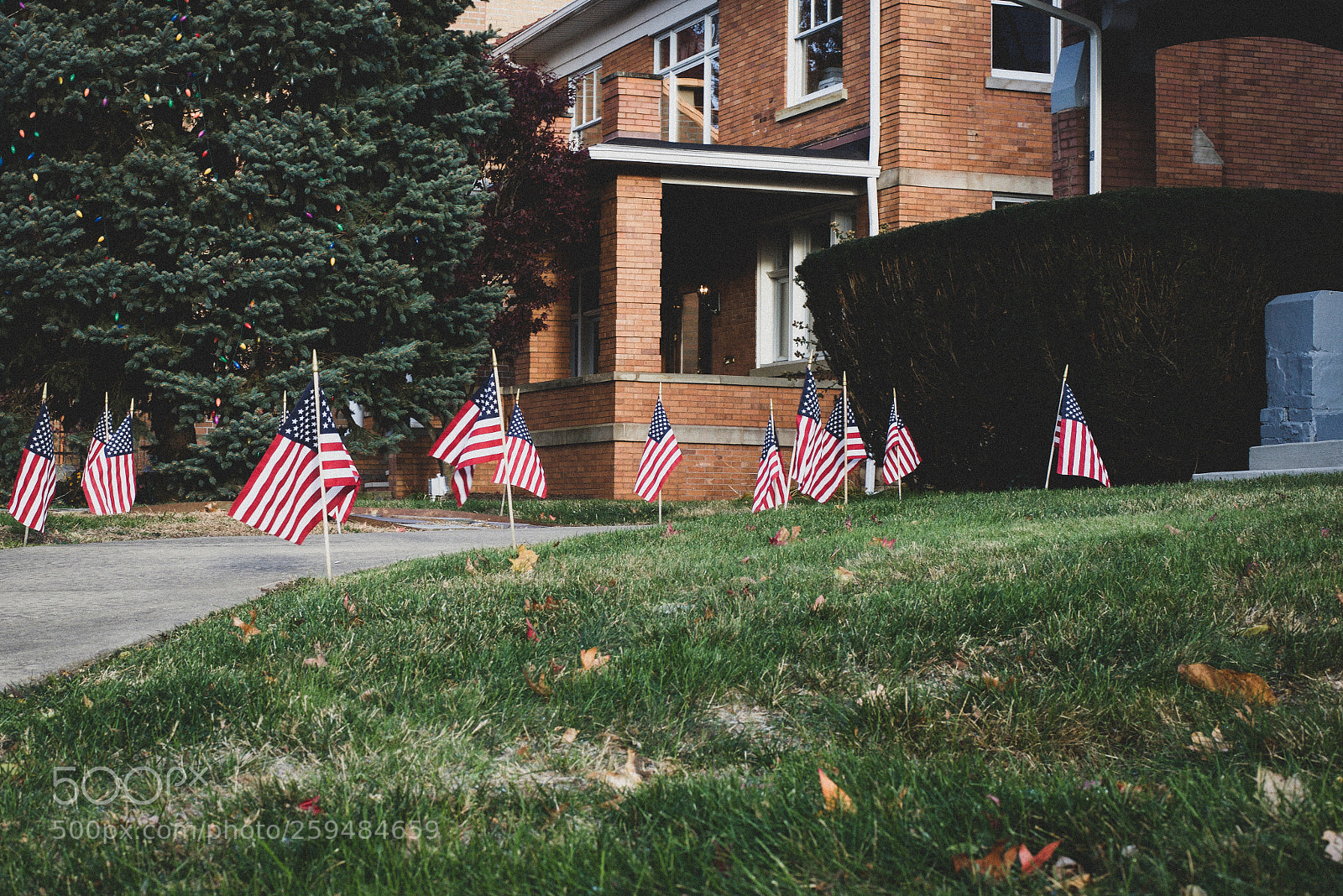 Nikon D610 sample photo. Two american kids growing photography
