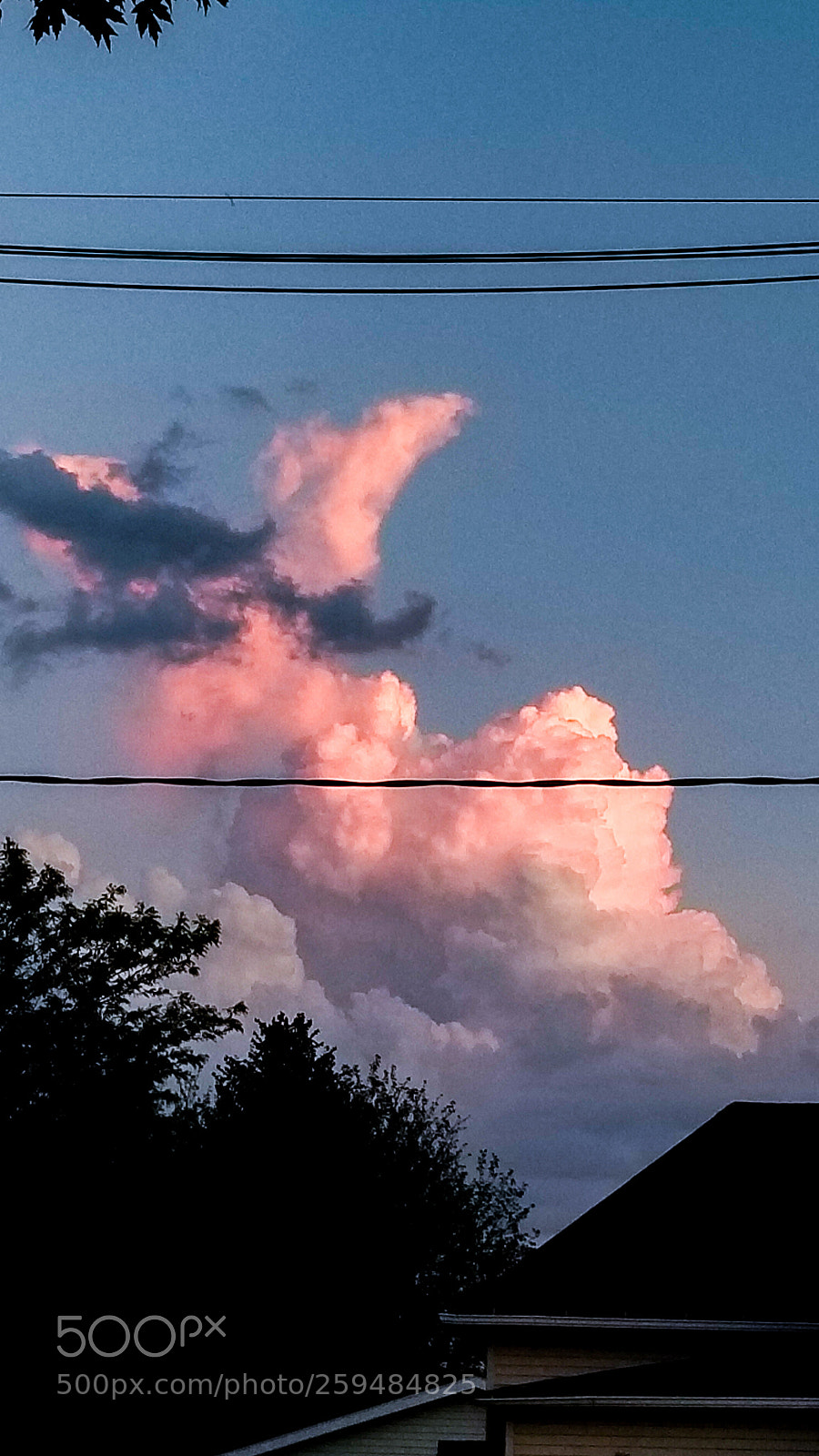 Samsung Galaxy S8 sample photo. Cotton candy in the photography