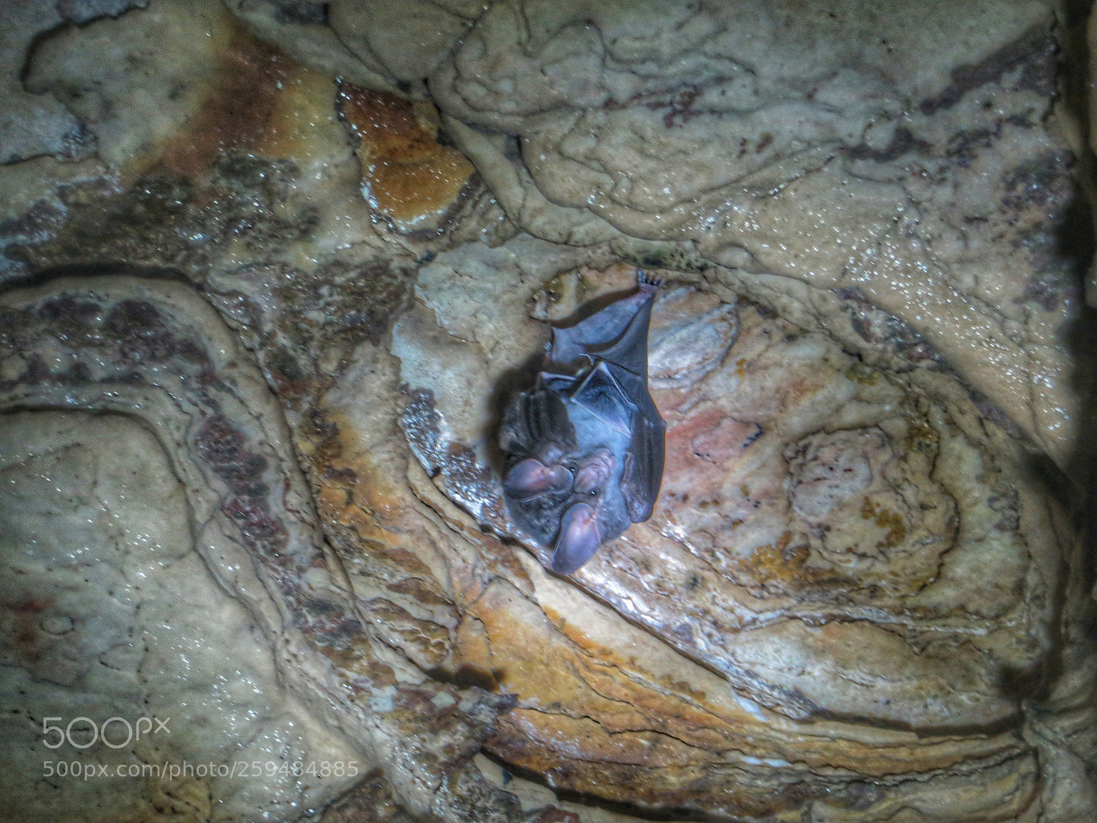 Canon PowerShot SX260 HS sample photo. Gruta do labirinto photography