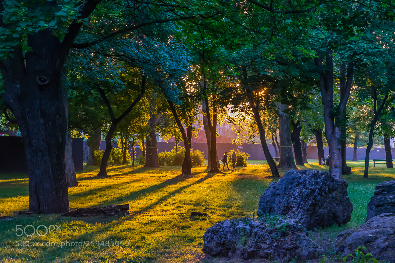 Nikon D5300 sample photo. Walk in the park photography
