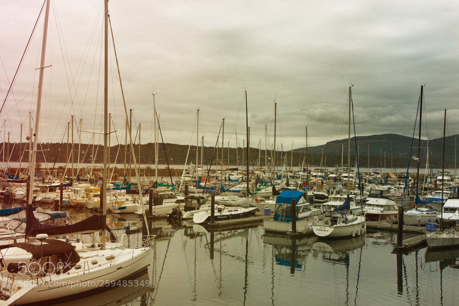 Canon EOS 700D (EOS Rebel T5i / EOS Kiss X7i) sample photo. Gray day n a photography