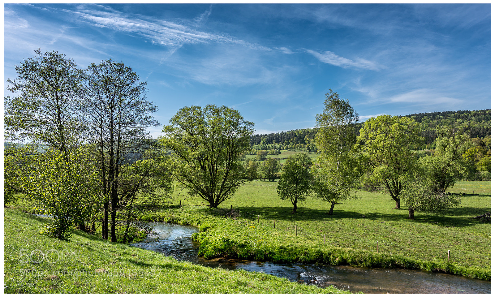 Nikon D810 sample photo. Wetterau photography