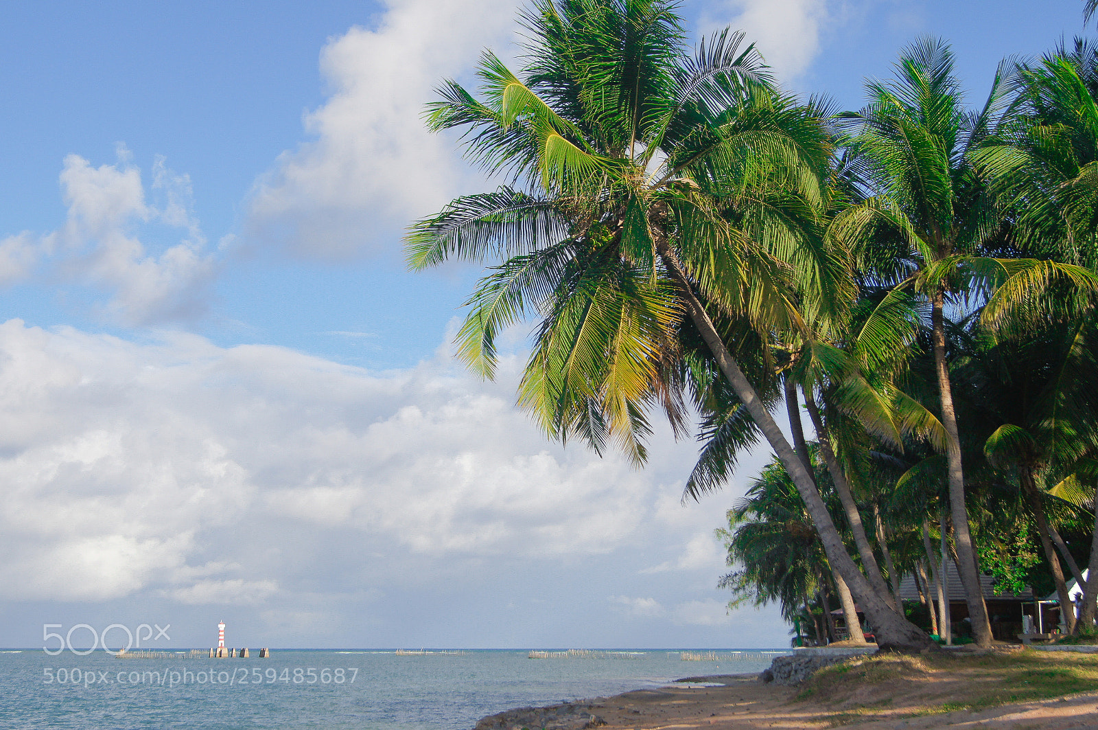 Sony SLT-A55 (SLT-A55V) sample photo. Paradise photography