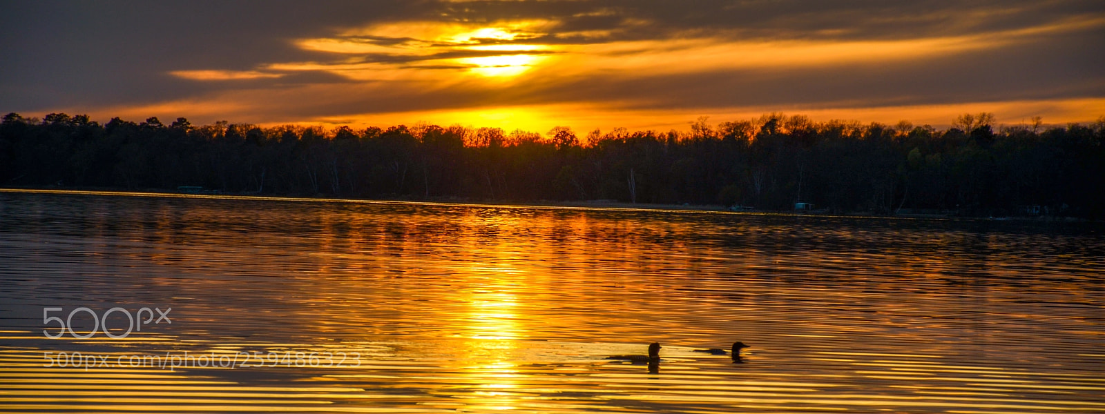 Nikon D7000 sample photo. Sunset from lake photography