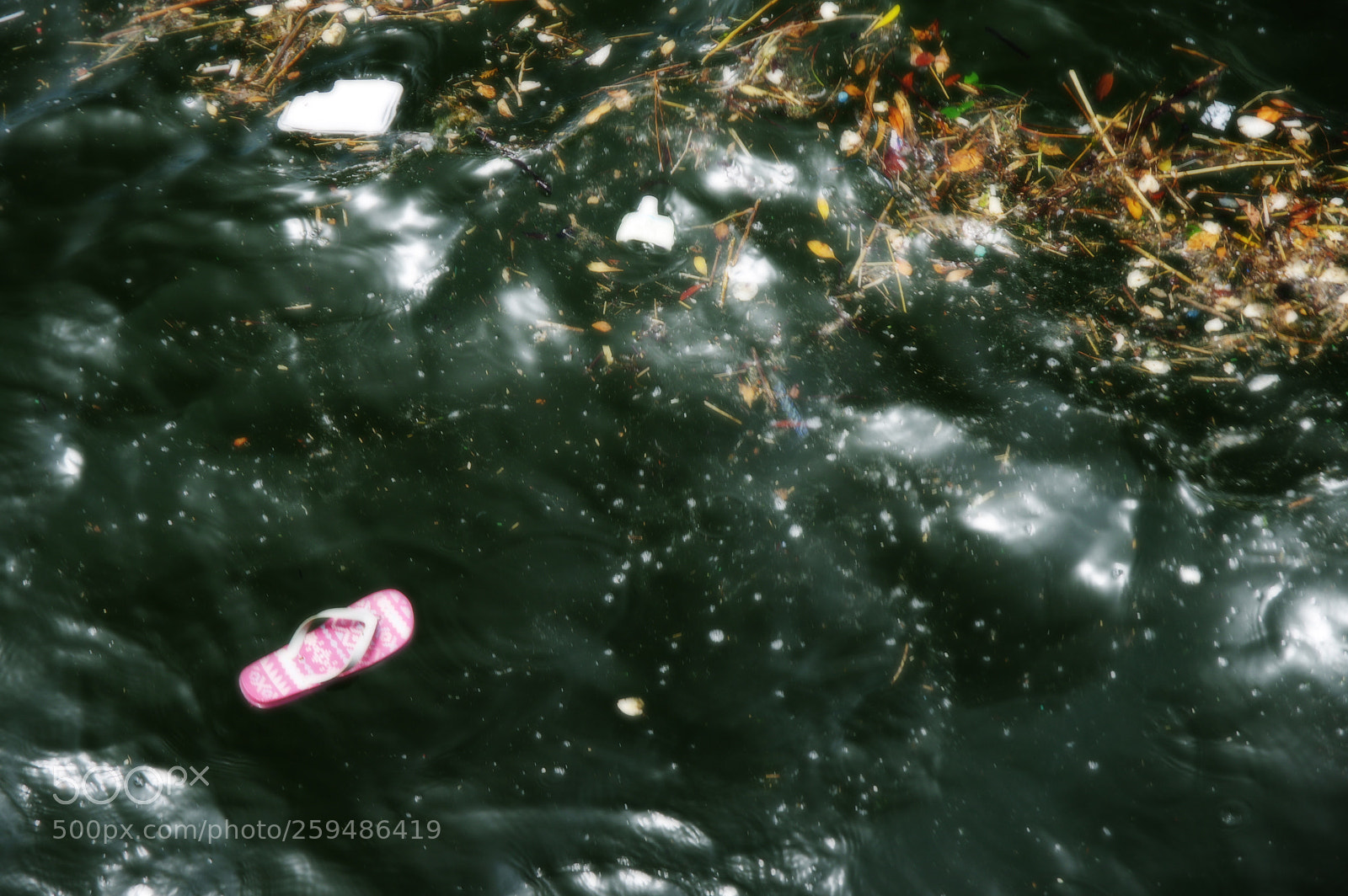 Pentax K-3 II sample photo. Not a trash can photography