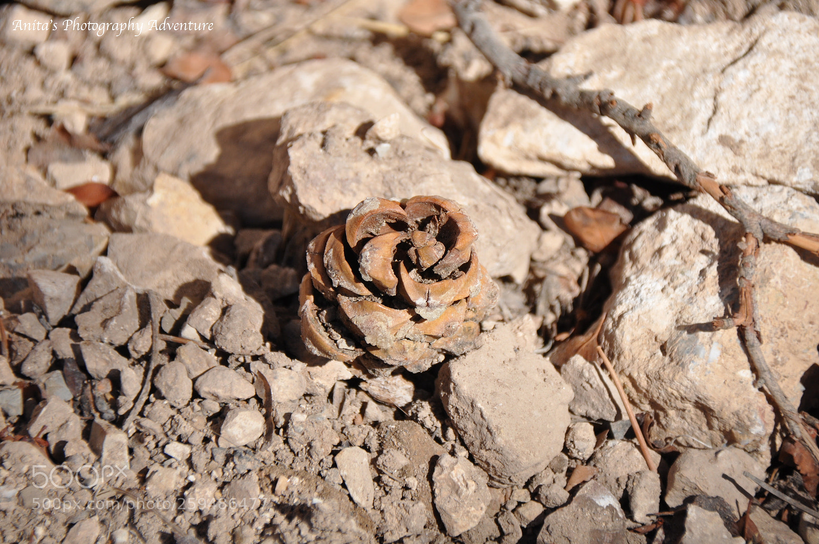 Nikon D90 sample photo. Nature at its best photography