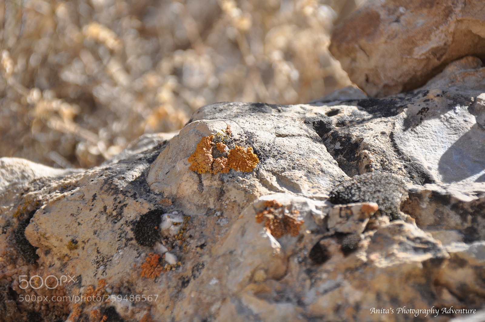 Nikon D90 sample photo. Nature at its best photography
