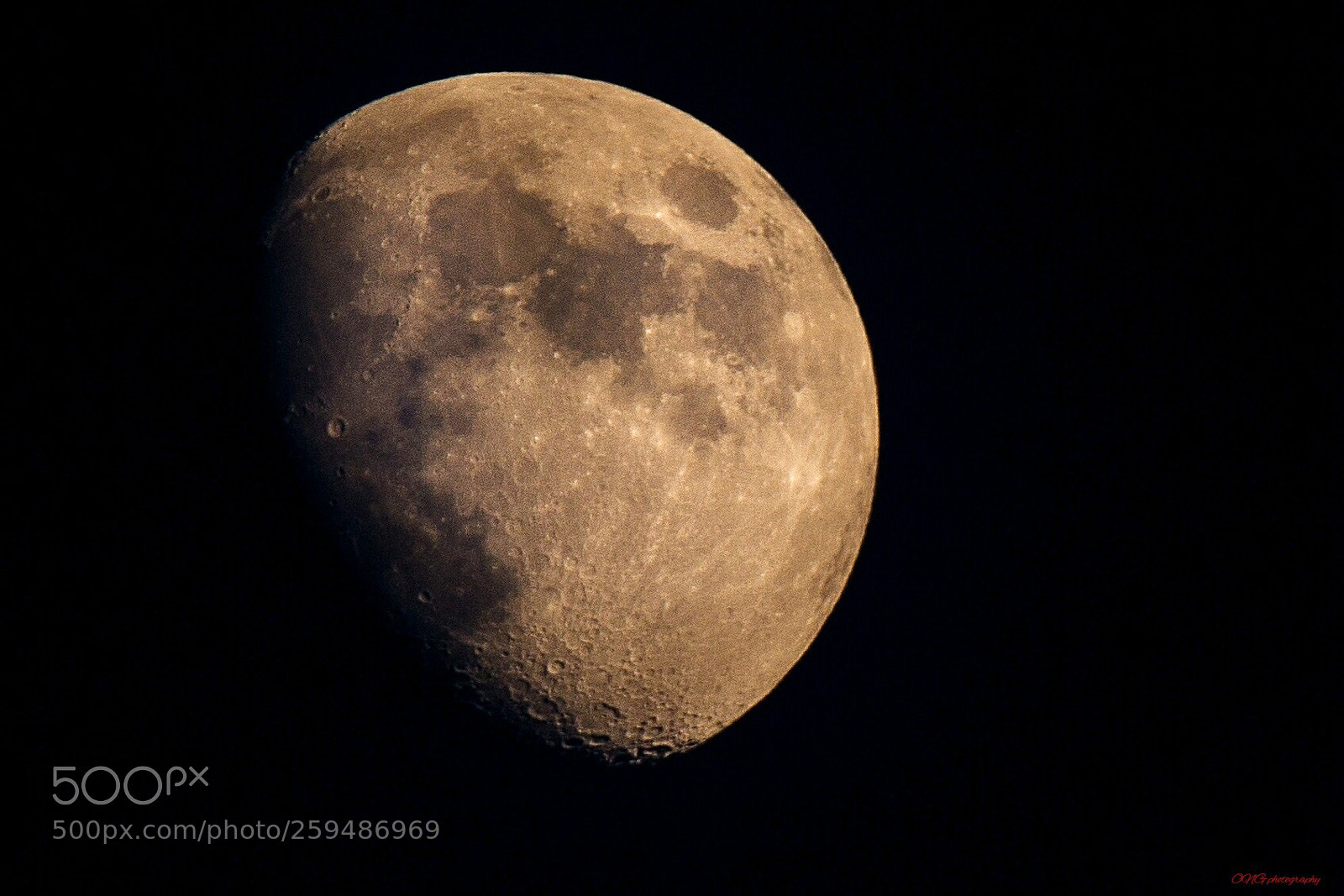 Nikon D7200 sample photo. Luna photography