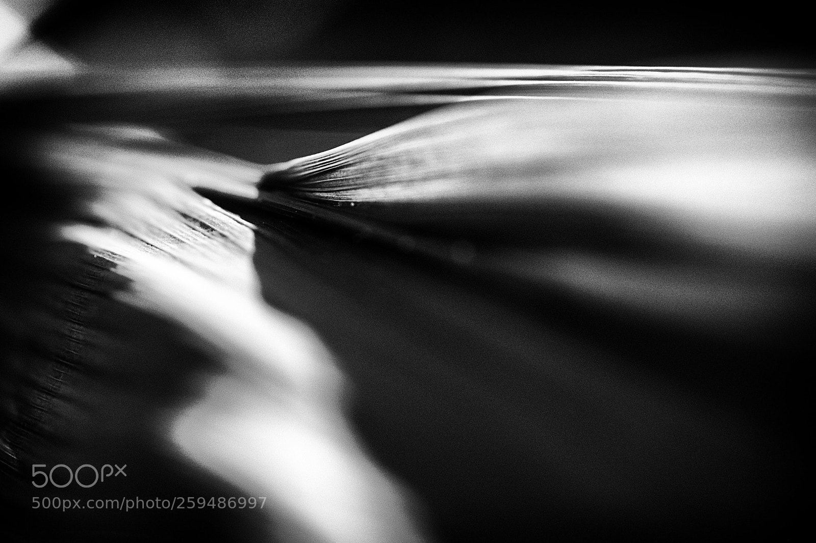 Fujifilm X-T2 sample photo. Abstract photography