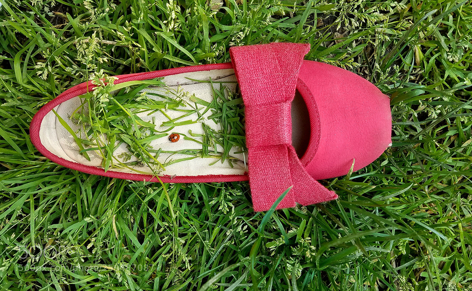 Samsung Galaxy S7 sample photo. Bubamara photography