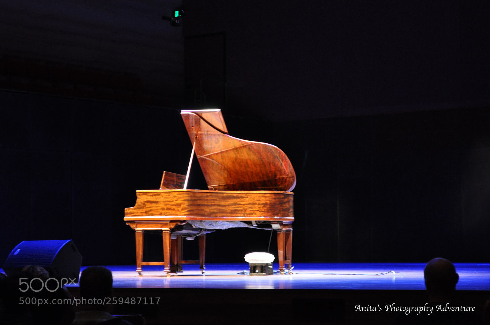 Nikon D90 sample photo. Piano photography