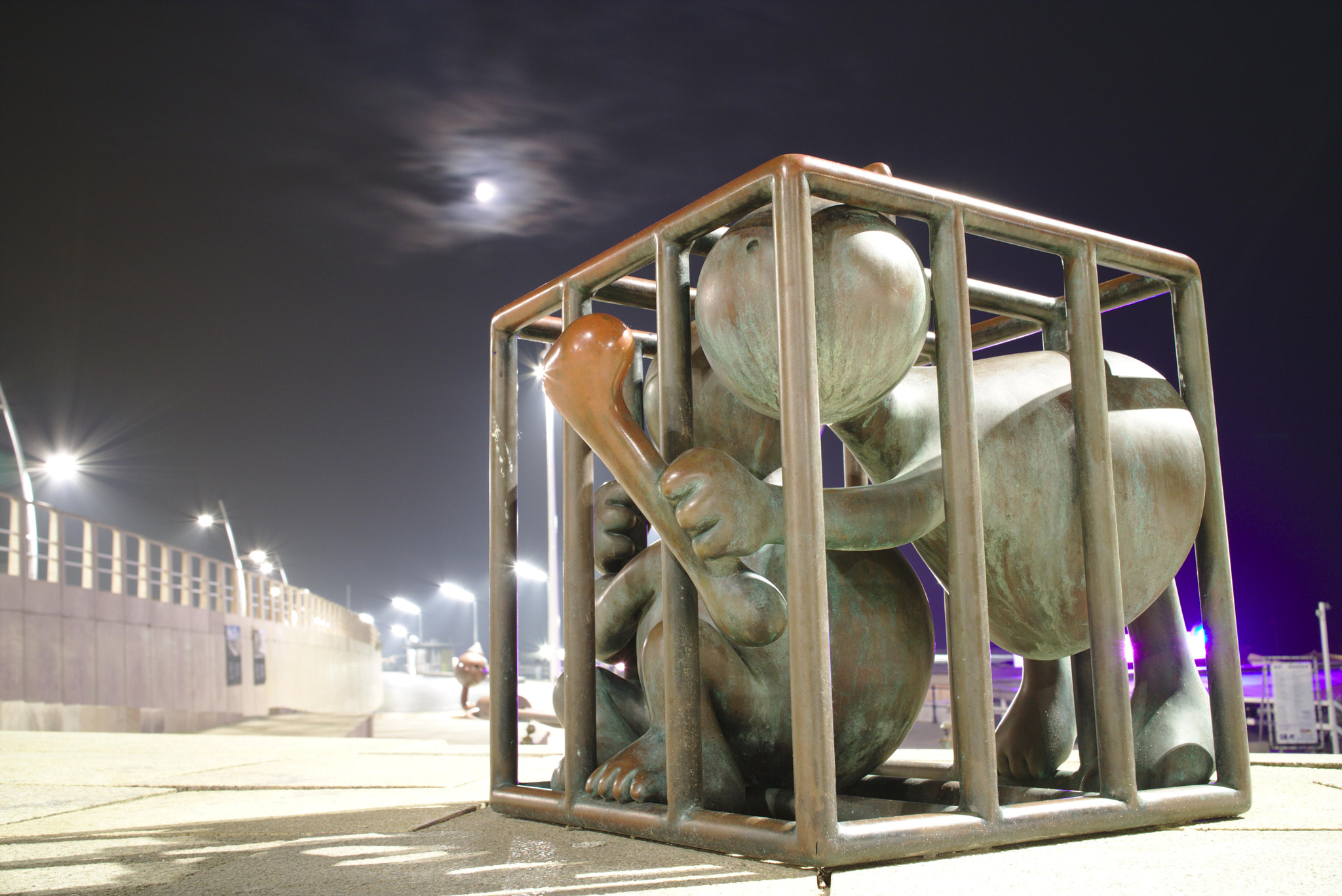 Canon EF-M 22mm F2 STM sample photo. Caged photography