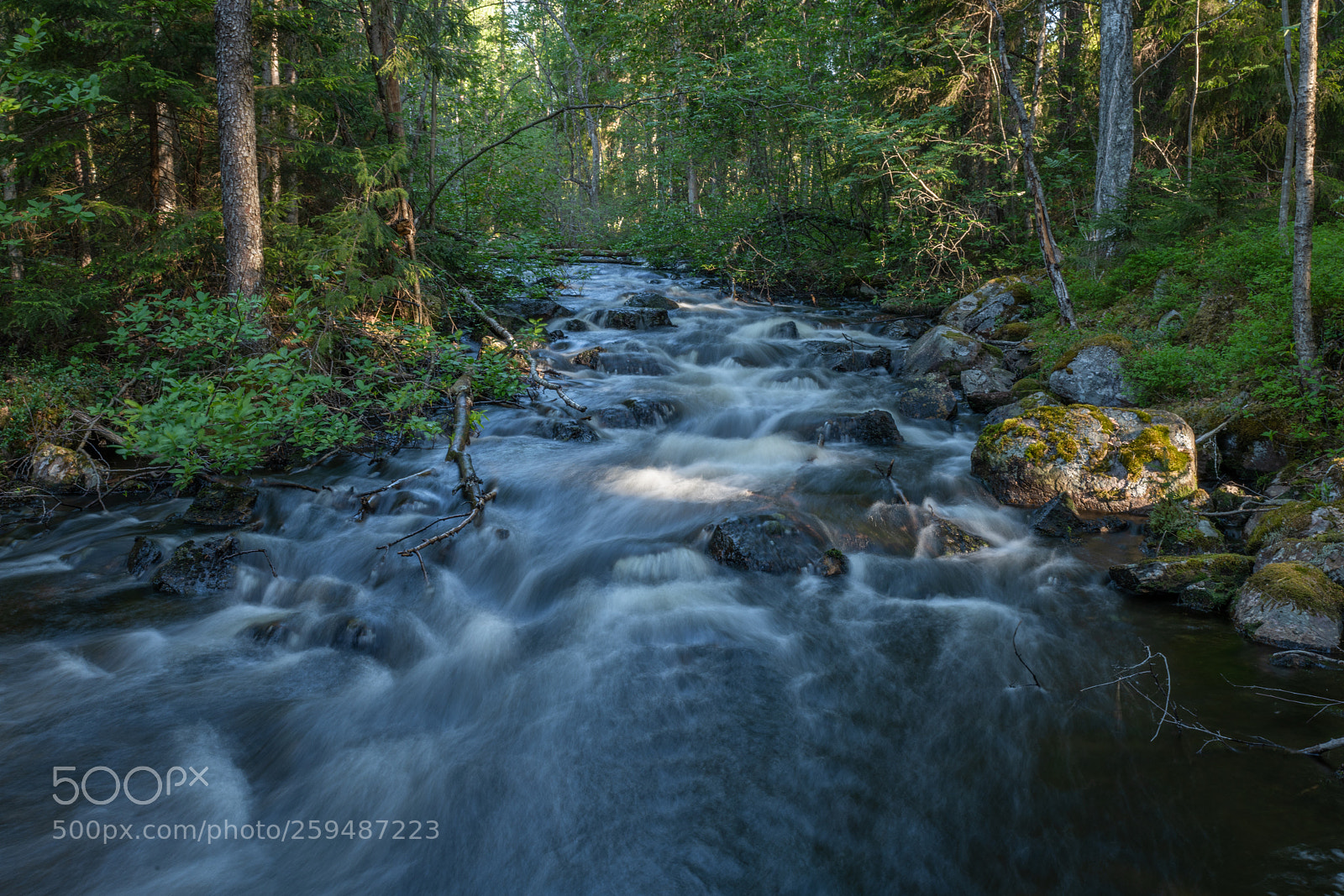 Nikon D850 sample photo. Rapid water photography