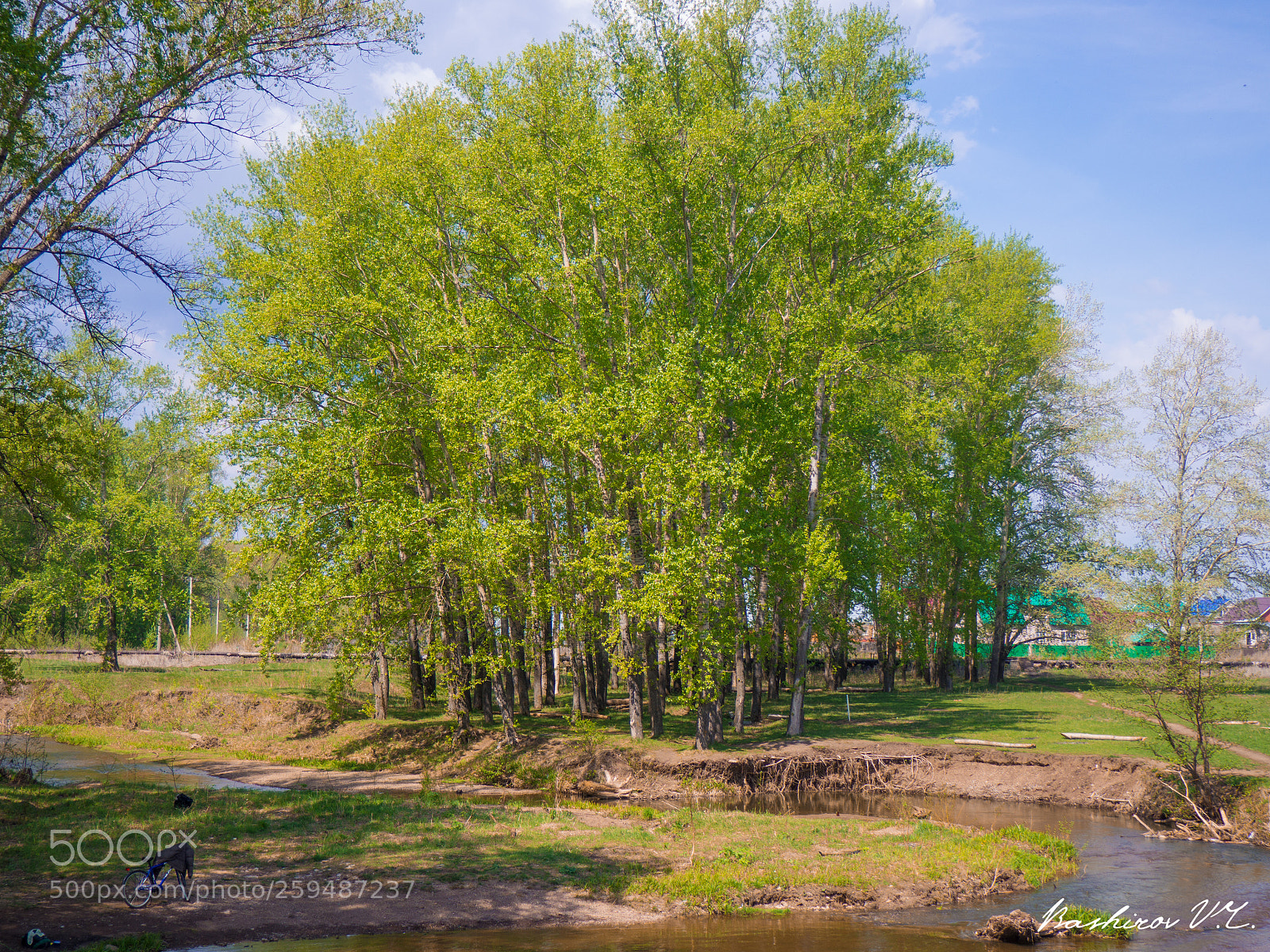 Olympus OM-D E-M10 II sample photo. On the river photography